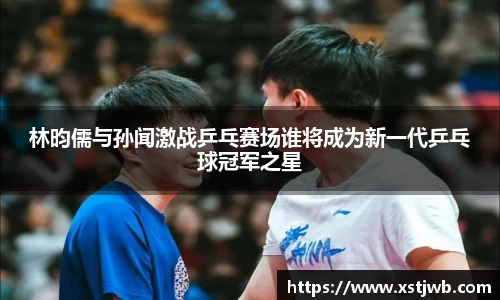 智博19有限公司