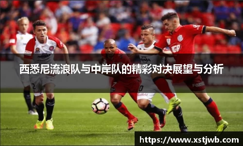 智博19有限公司