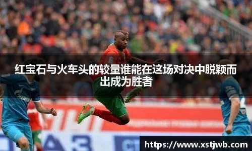 智博19