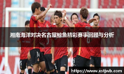 智博19有限公司
